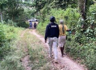 DGM apresa a 966 extranjeros en condición migratoria irregular