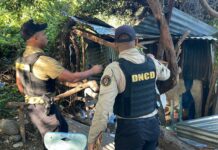 DNCD desmantela múltiples puntos de distribución de drogas en parcelas de Azua