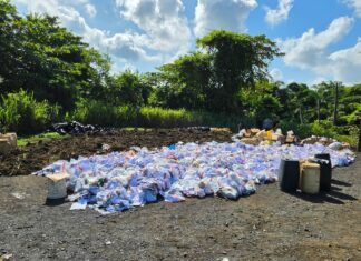 Inacif destruye más de 3.7 toneladas de drogas