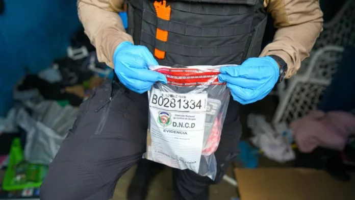 Nueve detenidos y miles de gramos de drogas incautados durante allanamientos en SDO