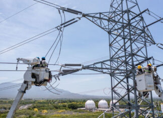 ETED programa trabajos de mantenimiento en la red de transmisión eléctrica de la región Nordeste