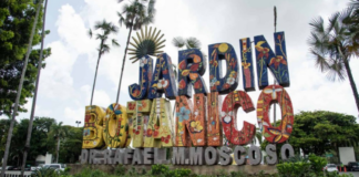 Jardín Botánico celebra Día del Medio Ambiente con acceso gratuito y caminata ecológica