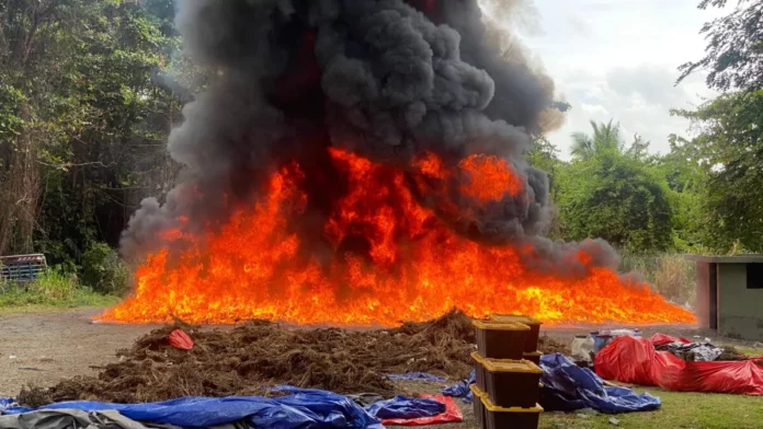 Inacif destruye más de 33 toneladas de drogas incautadas en el país en lo que va de año