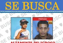 Autoridades buscan a sospechoso de ultimar a su pareja embarazada en Higüey