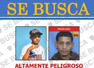 Autoridades buscan a sospechoso de ultimar a su pareja embarazada en Higüey