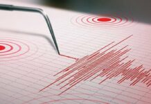 Un terremoto de magnitud 5,6 sacude el norte de California