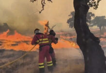 Los incendios arrasan en España una superficie cuatro veces mayor que en 2025