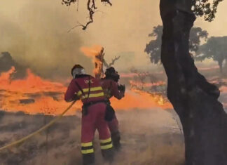 Los incendios arrasan en España una superficie cuatro veces mayor que en 2025