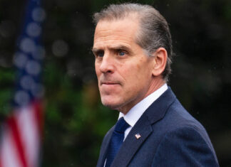 Hunter Biden admite que subestimó el «nido de víboras» de Ucrania