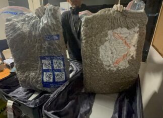 DNCD interviene maleta con 28 libras de marihuana en el AILA