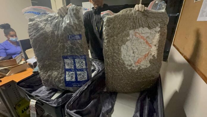 DNCD interviene maleta con 28 libras de marihuana en el AILA