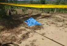 Encuentran el cuerpo incinerado de mujer desaparecida en Yabanal, La Vega