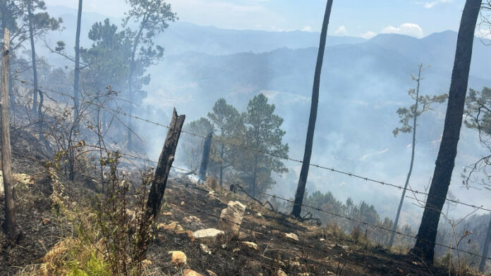 Medio Ambiente en Ocoa identifican a los causantes de incendios forestales