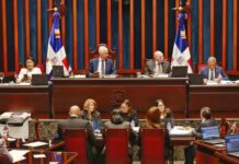 Aprueban en primera lectura y con modificaciones el proyecto de ley de reforma policial