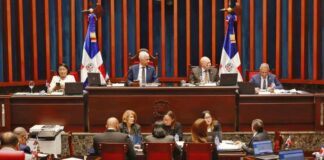Aprueban en primera lectura y con modificaciones el proyecto de ley de reforma policial