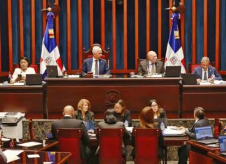 Aprueban en primera lectura y con modificaciones el proyecto de ley de reforma policial