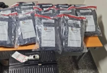 Autoridades interceptan en el AILA maleta con 25 paquetes de presunta marihuana
