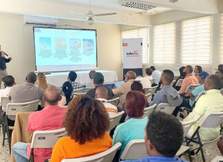 Edesur rehabilitará redes de distribución en Peravia con una inversión superior a los RD 962 millones