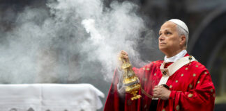 Confundador de Palantir: El papa León XIV actúa como «agente comunista chino»