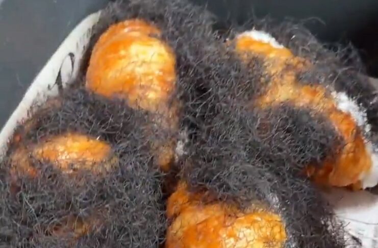 Panadería se vuelve viral por vender un insólito «croissant de pelo»