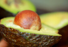 EE.UU. pone un freno las exportaciones de aguacate desde México por esta razón