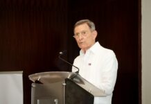 Canciller resalta potencial para ampliar comercio y las inversiones entre RD y México