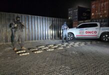 DNCD ocupa 321 paquetes de presunta cocaína ocultos en contenedor en Caucedo