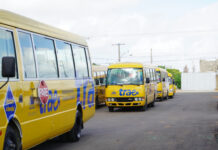 OMSA y TRAE culminan con éxito operativo de transporte de los Juegos Centroamericanos