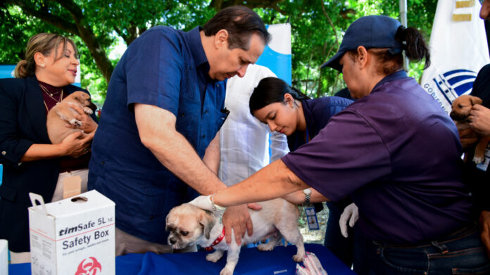 Salud realizará jornada de vacunación para perros y gatos este viernes 21 en Ciudad Juan Bosch
